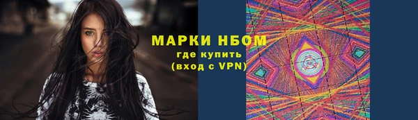 прущий лед Алзамай