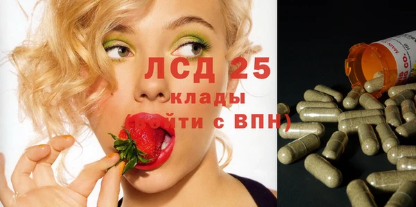 прущий лед Алзамай